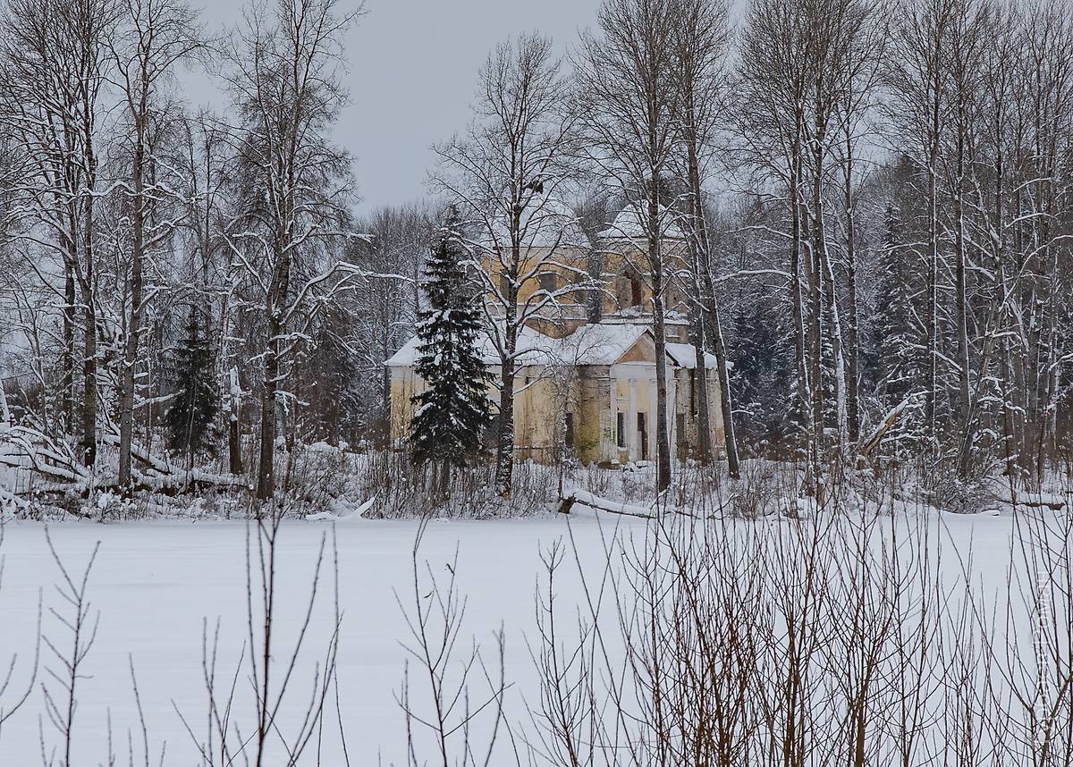 Вид с востока, фасады. Церковь Преображения Господня, Еглино (Валдайский район, Новгородская область)