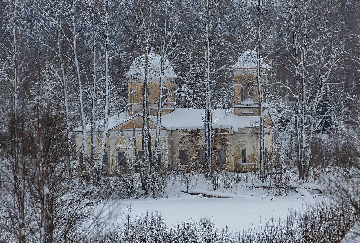 Вид с севера, фасады. Церковь Преображения Господня, Еглино (Валдайский район, Новгородская область)