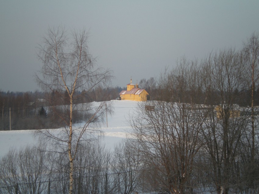 Церковь Спаса Всемилостивого, Быково (Валдайский район, Новгородская область). общий вид в ландшафте