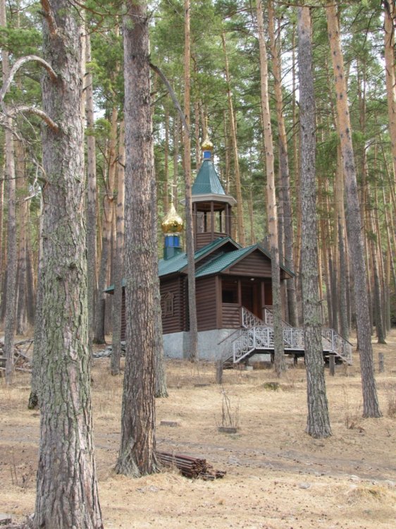 Церковь Макария Алтайского (Невского), Чемал (Чемальский район, Республика Алтай). фасады, Общий вид с юго-запада, со стороны скита