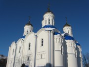 Воскресенск. Иерусалимской иконы Божией Матери, церковь