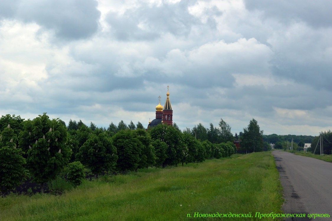 Церковь Преображения Господня, Новонадеждинский (Аннинский район, Воронежская область). общий вид в ландшафте