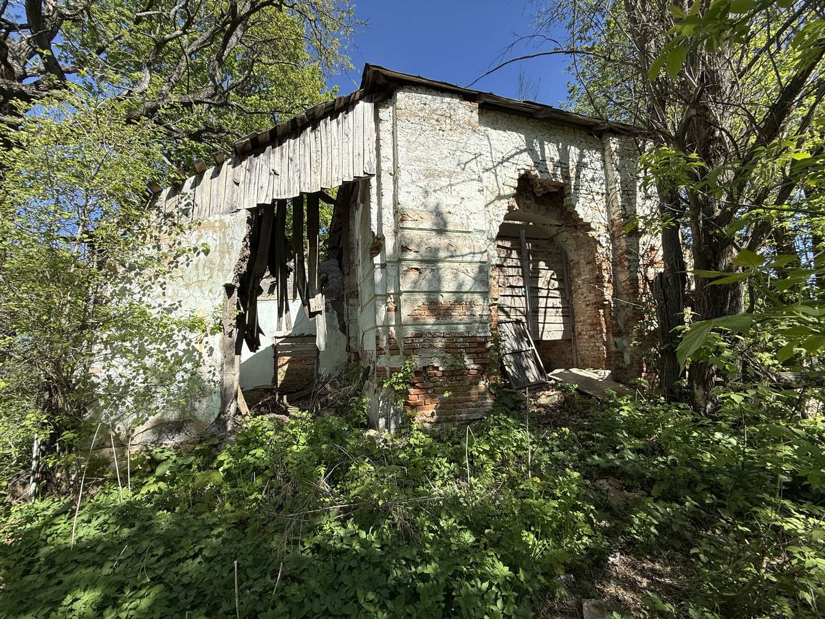 Церковь Спаса Преображения, Якшино (Дубенский район, Тульская область). фасады, Вид с запада