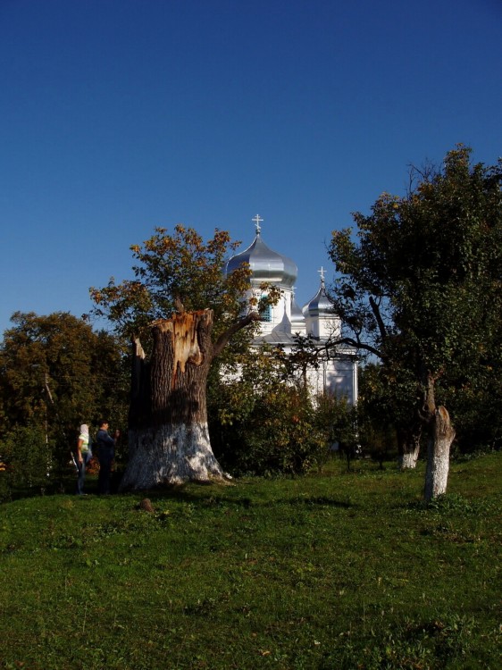 Гырбовец. Гырбовецкий Успенский мужской монастырь. общий вид в ландшафте