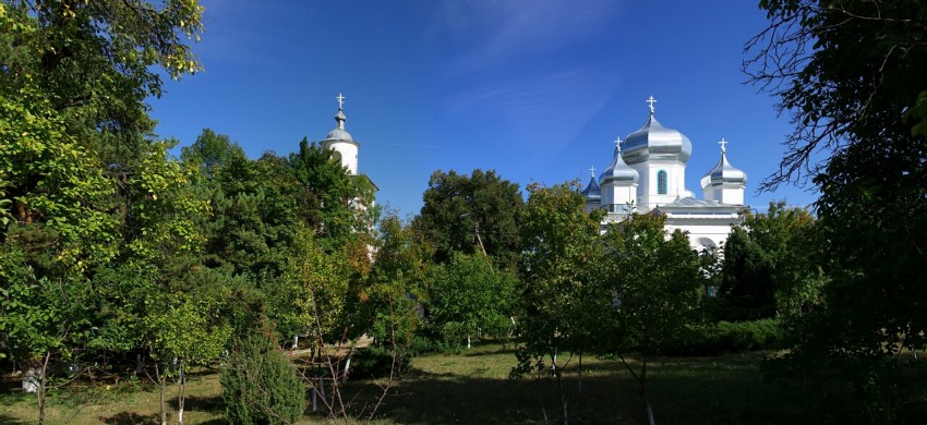 Гырбовец. Гырбовецкий Успенский мужской монастырь. общий вид в ландшафте