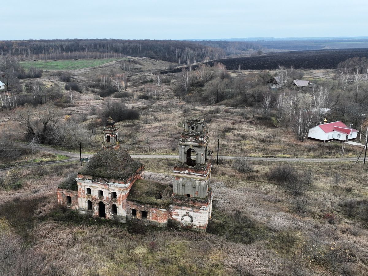 Церковь Рождества Христова, Немерово (Скопинский район и г. Скопин, Рязанская область). общий вид в ландшафте