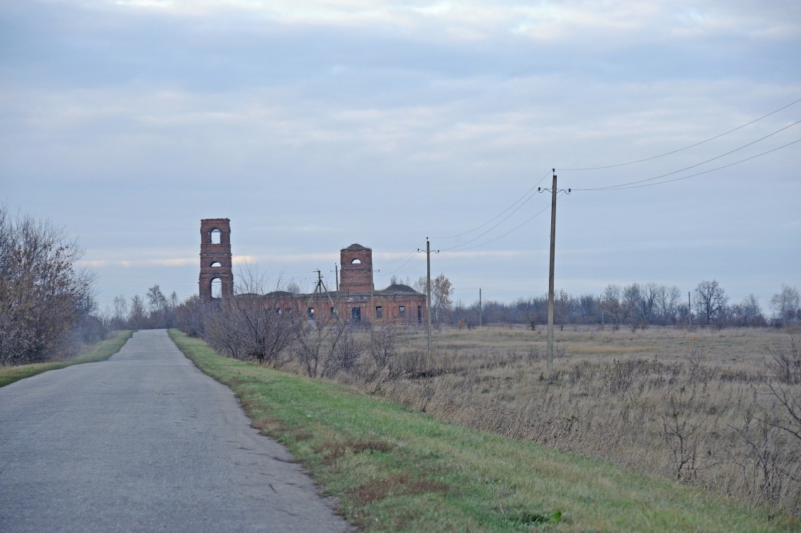 Церковь Космы и Дамиана, Мшанка (Скопинский район и г. Скопин, Рязанская область). общий вид в ландшафте
