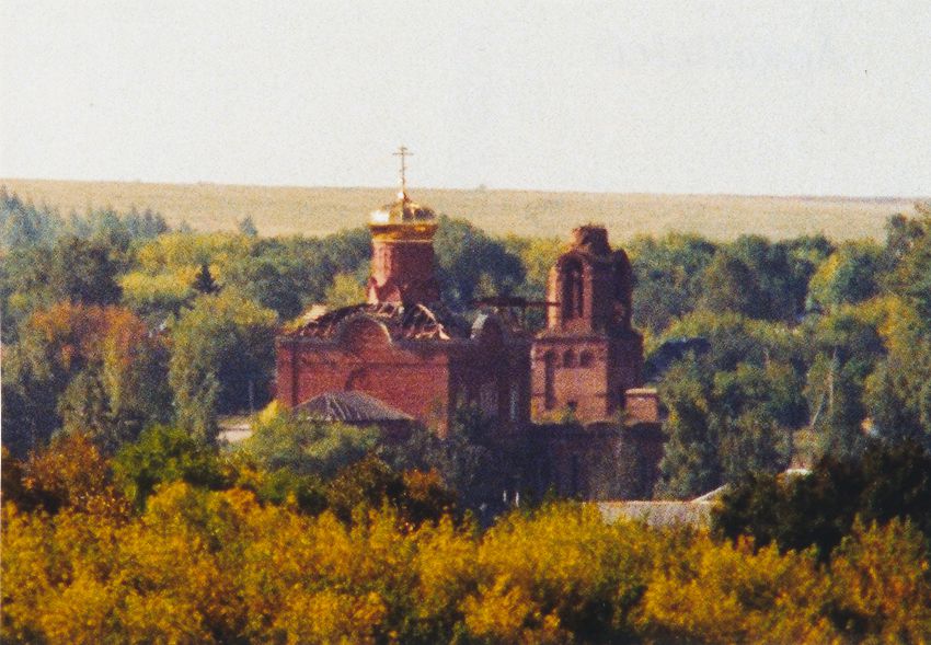 Лопатино. Церковь Покрова Пресвятой Богородицы. общий вид в ландшафте