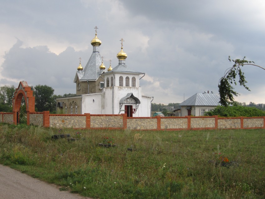 Церковь Успения Пресвятой Богородицы, Успенское (Скопинский район и г. Скопин, Рязанская область). общий вид в ландшафте