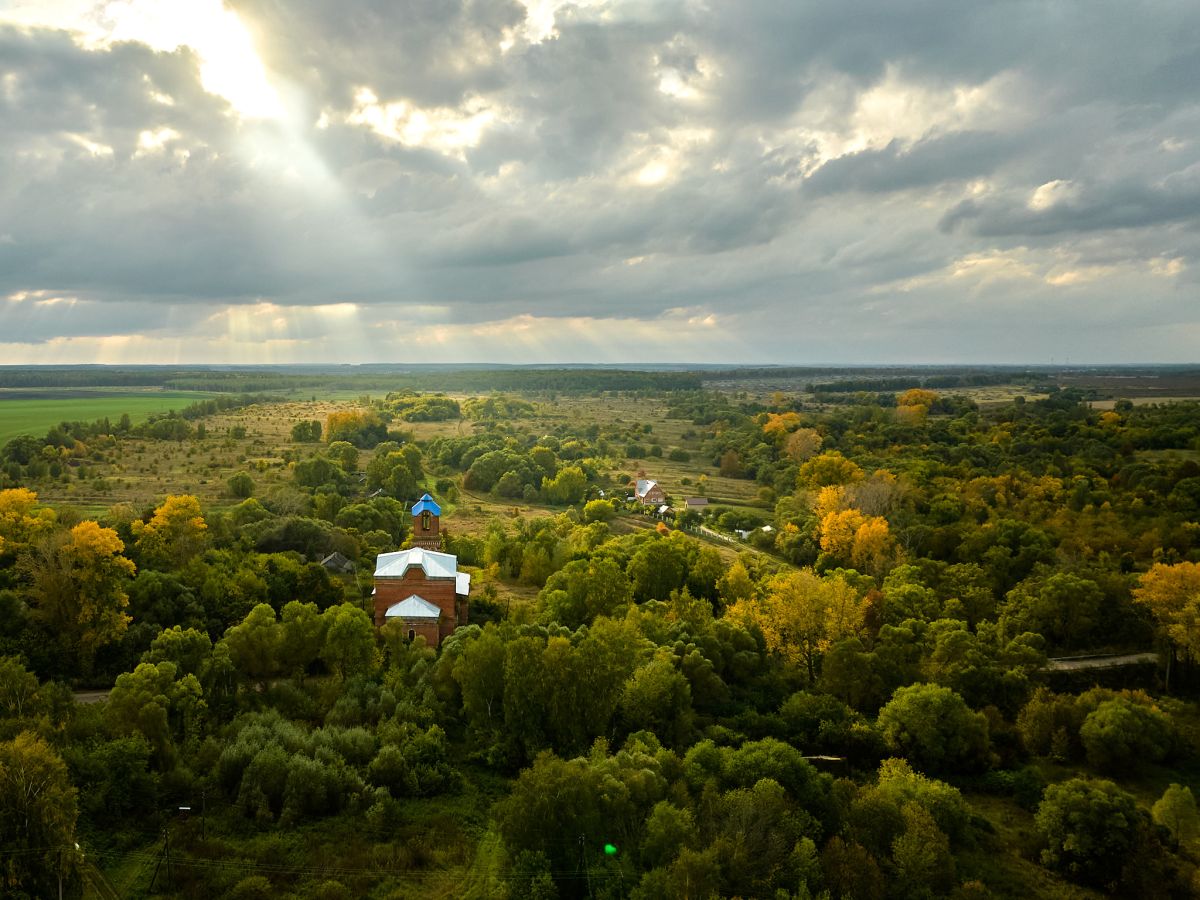 Церковь Димитрия Солунского, Хворощевка (Скопинский район и г. Скопин, Рязанская область). общий вид в ландшафте