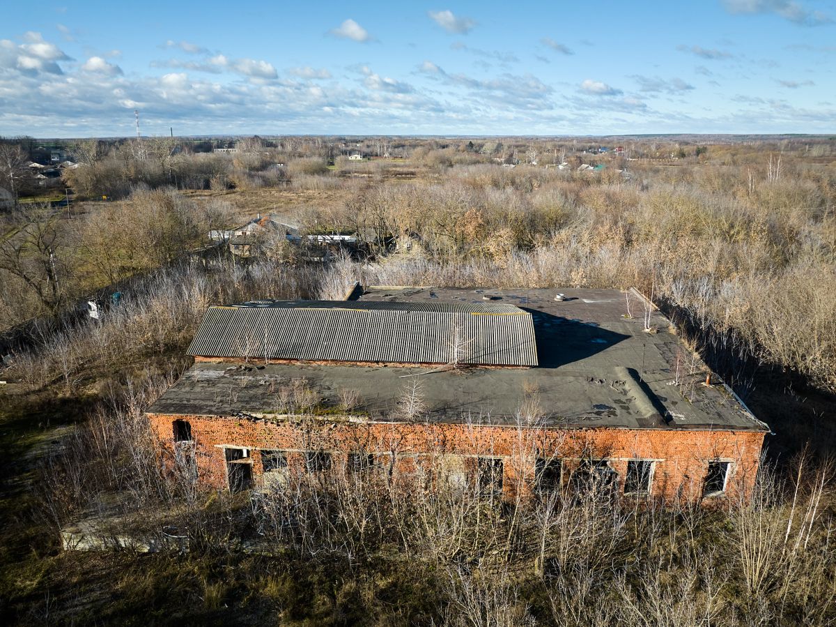 Церковь Рождества Пресвятой Богородицы (старая), Шелемишево (Скопинский район и г. Скопин, Рязанская область). общий вид в ландшафте