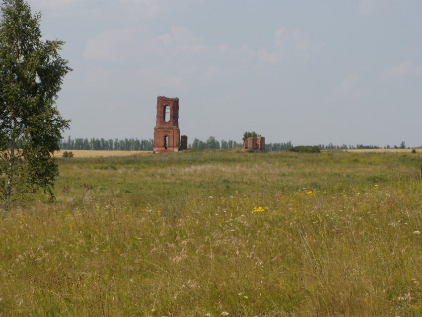 Церковь Троицы Живоначальной, Растегаевка (Милославский район, Рязанская область). общий вид в ландшафте, Церковь Троицы Живоначальной