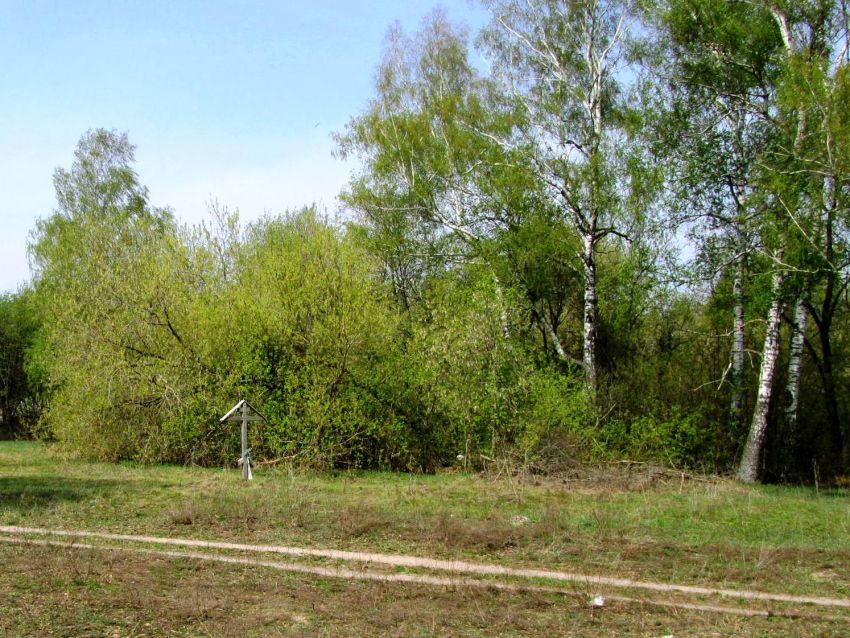 Церковь Рождества Христова, Кидусово (Спасский район, Рязанская область). фасады, крест на месте разрушенной церкви