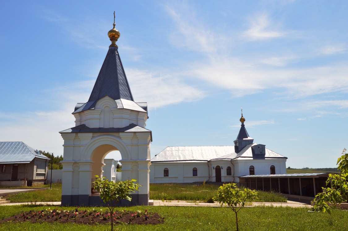 Церковь Троицы Живоначальной, Залужное (Лискинский район, Воронежская область). общий вид в ландшафте