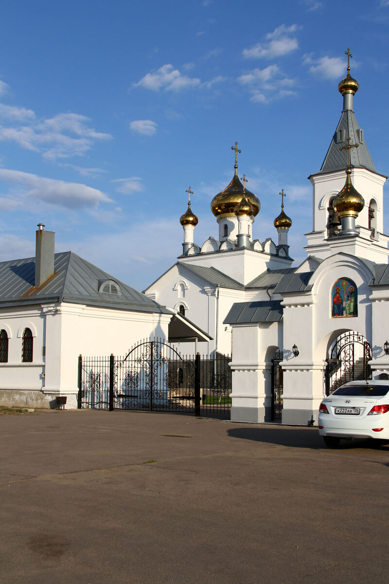 Церковь Троицы Живоначальной, Залужное (Лискинский район, Воронежская область). общий вид в ландшафте