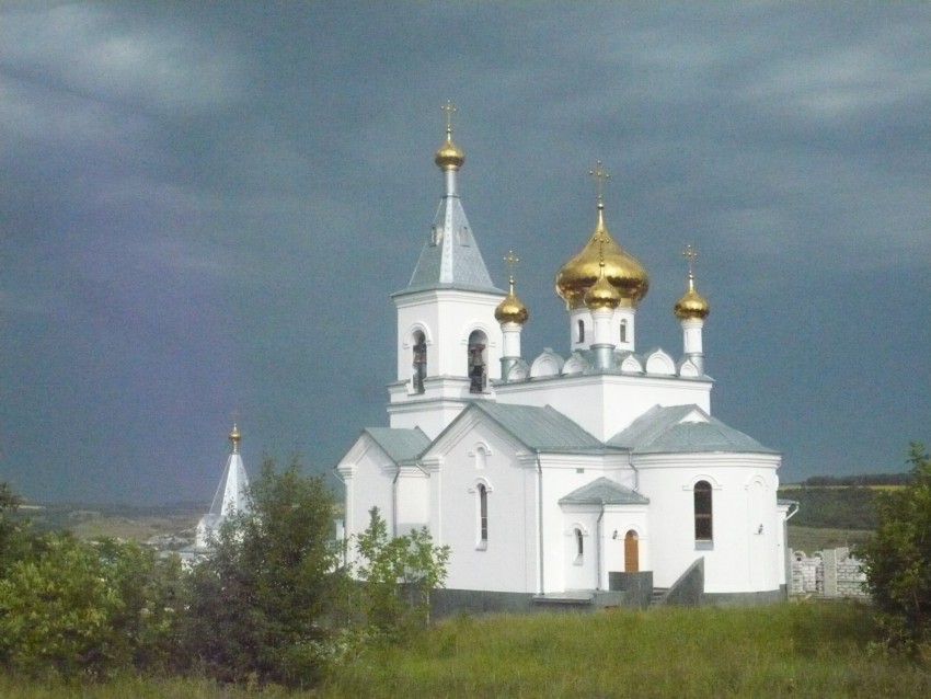 Залужное. Церковь Троицы Живоначальной. фасады