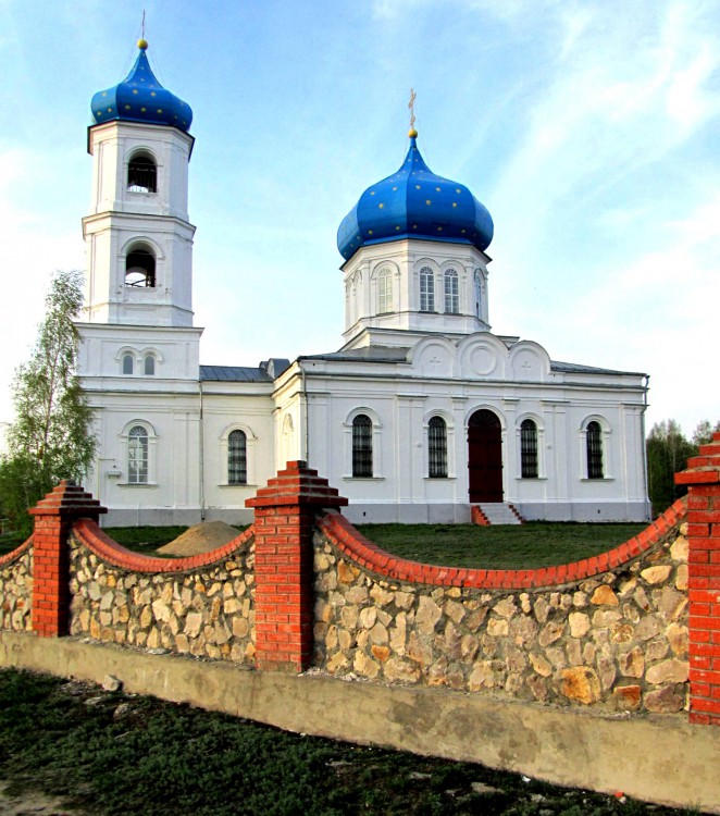 Церковь Покрова Пресвятой Богородицы, Петровичи (Спасский район, Рязанская область). фасады, вид с юга