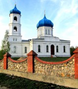 Церковь Покрова Пресвятой Богородицы, вид с юга<br>, Петровичи, Спасский район, Рязанская область