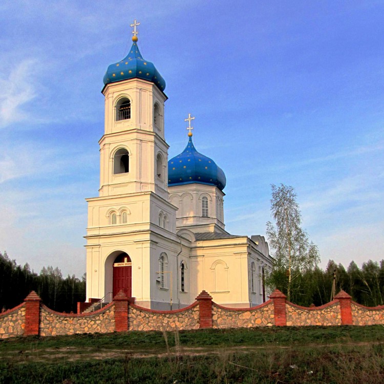 Церковь Покрова Пресвятой Богородицы, Петровичи (Спасский район, Рязанская область). фасады, вид с юго-запада