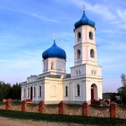 Церковь Покрова Пресвятой Богородицы, вид с северо-запада<br>, Петровичи, Спасский район, Рязанская область