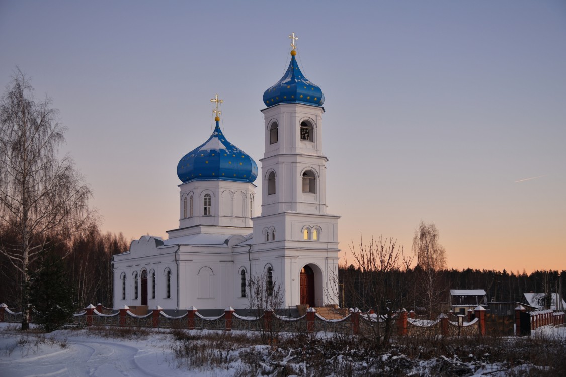 Церковь Покрова Пресвятой Богородицы, Петровичи (Спасский район, Рязанская область). общий вид в ландшафте