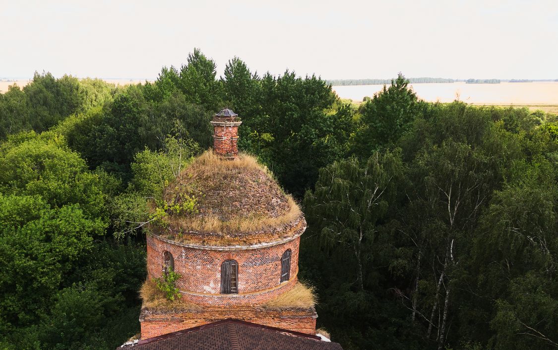 Церковь Бориса и Глеба, Суйск (Старожиловский район, Рязанская область). архитектурные детали