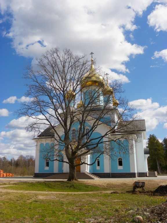 Благовещения Пресвятой Богородицы Никандрова пустынь. Собор Благовещения Пресвятой Богородицы, Никандрова пустынь (Порховский район, Псковская область). фасады