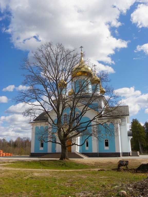 Никандрова пустынь. Благовещения Пресвятой Богородицы Никандрова пустынь. Собор Благовещения Пресвятой Богородицы. фасады