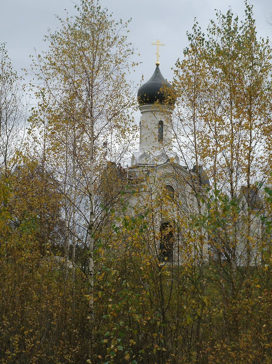 фасады. Часовня Спаса Преображения, Борисово (Нелидовский городской округ, Тверская область)