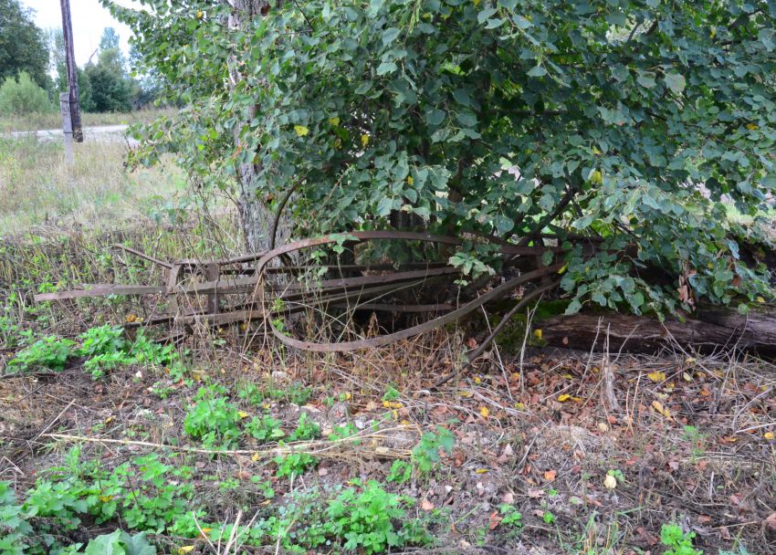 Церковь Покрова Пресвятой Богородицы, Сухочево (Белёвский район, Тульская область). архитектурные детали, Каркас главы