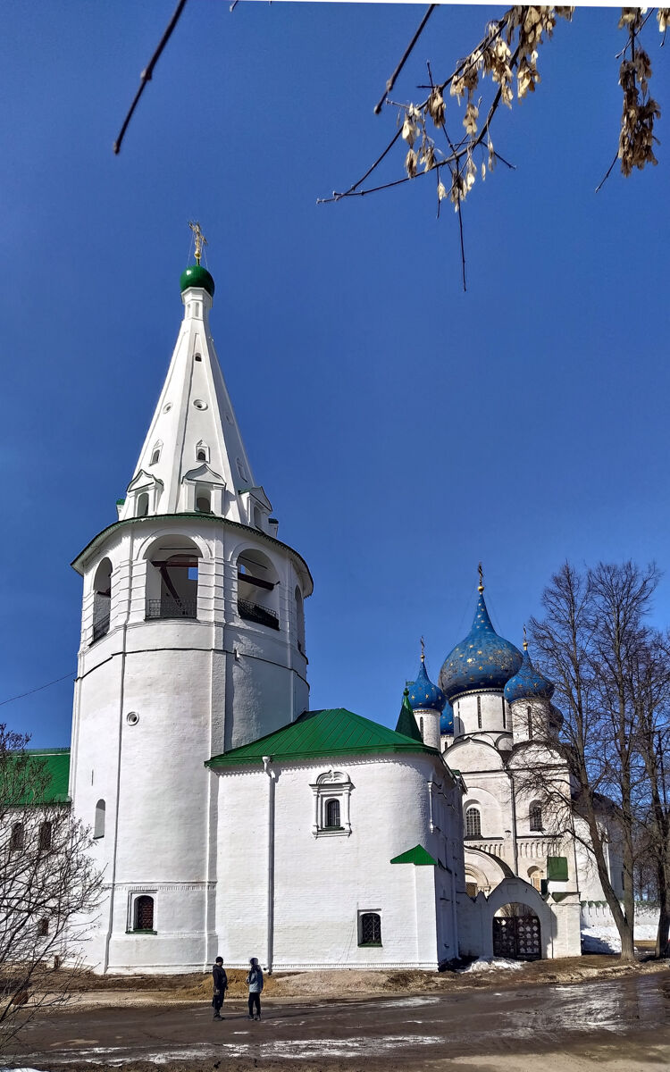 Церковь Благовещения Пресвятой Богородицы на архиерейском дворе, Суздаль (Суздальский район, Владимирская область). фасады