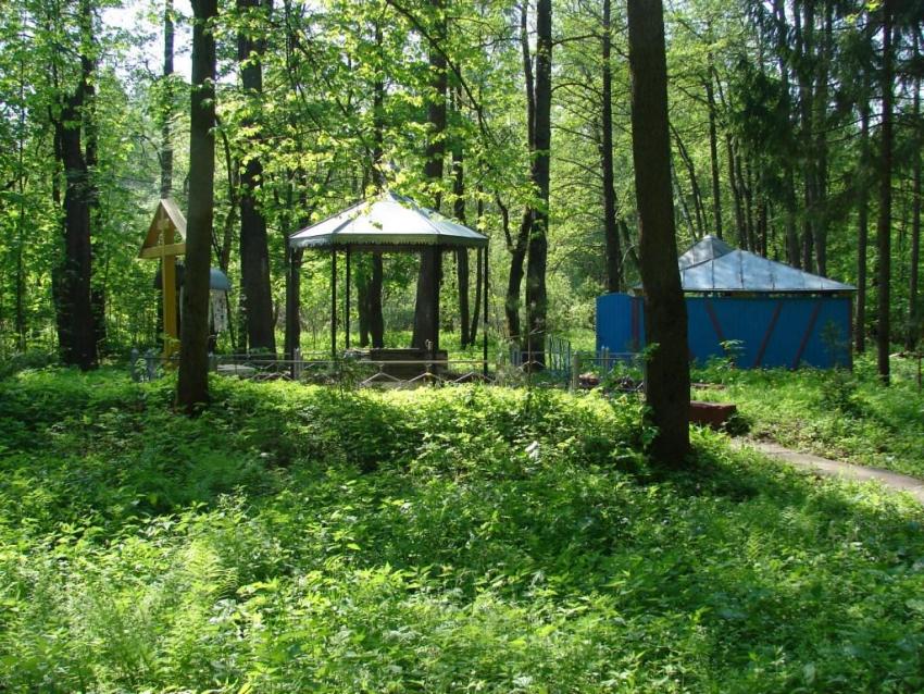 Часовня Николая Чудотворца, Луги (Рославльский район, Смоленская область). дополнительная информация, Святой источник и купель возле часовни