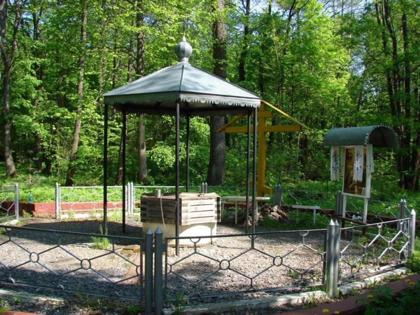 Часовня Николая Чудотворца, Луги (Рославльский район, Смоленская область). дополнительная информация, Святой источник