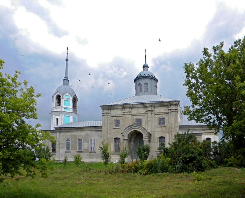 Церковь Параскевы Пятницы, Кривоносово (Россошанский район, Воронежская область). общий вид в ландшафте