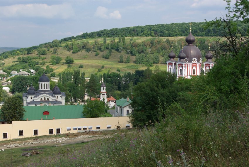 Рождества Пресвятой Богородицы Курковский мужской монастырь, Курки (Оргеевский район, Молдова). общий вид в ландшафте