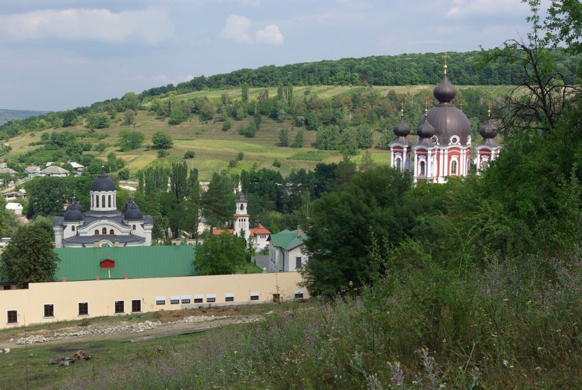 Курки. Рождества Пресвятой Богородицы Курковский мужской монастырь. общий вид в ландшафте