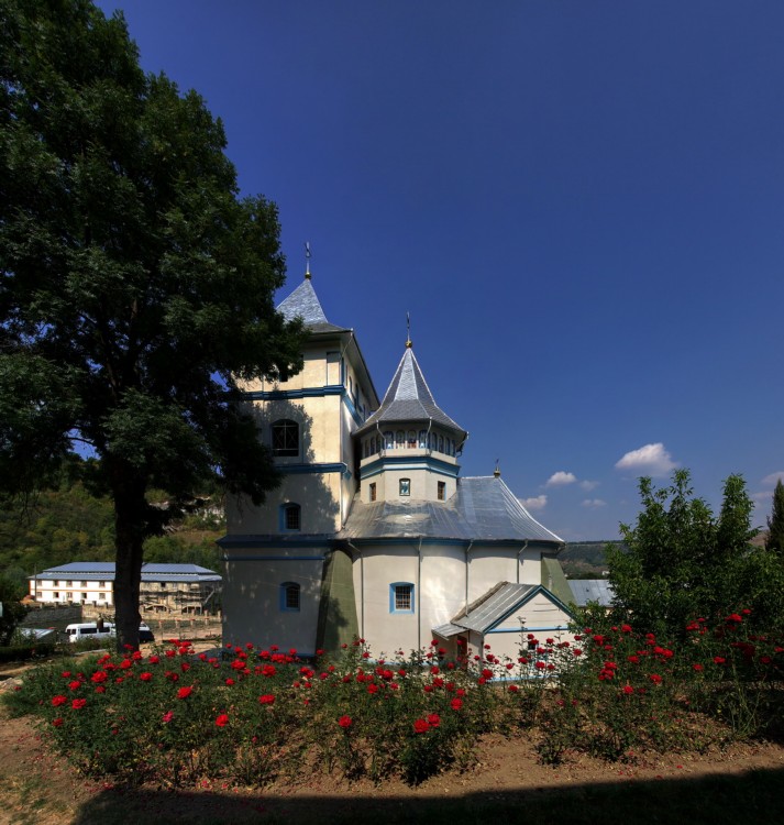 Каларашовка. Успенский женский монастырь. общий вид в ландшафте