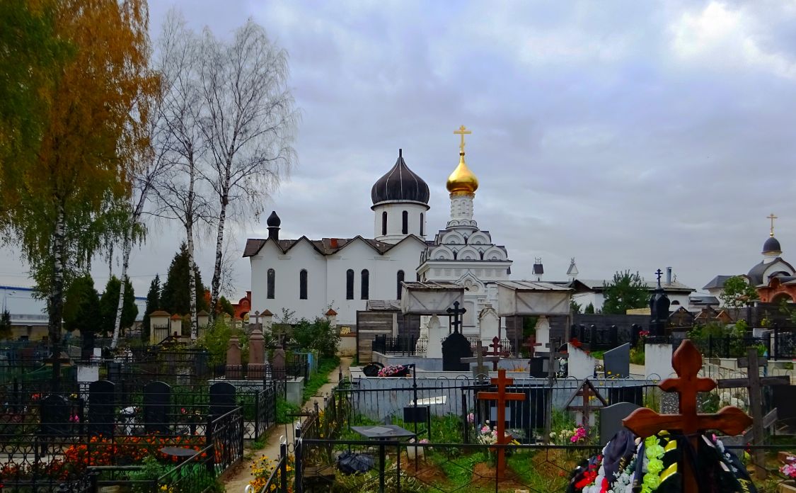 Церковь Паисия Великого, Михайловская Слобода (Раменский район и гг. Бронницы, Жуковский, Московская область). общий вид в ландшафте