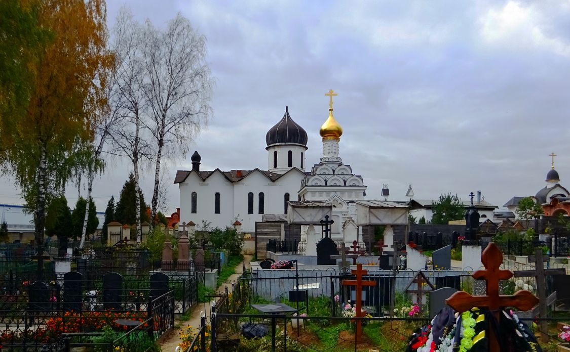 Михайловская Слобода. Церковь Паисия Великого. общий вид в ландшафте