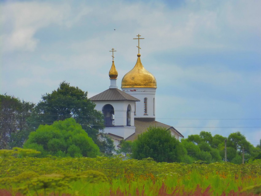 Барково. Церковь Илии Пророка. дополнительная информация