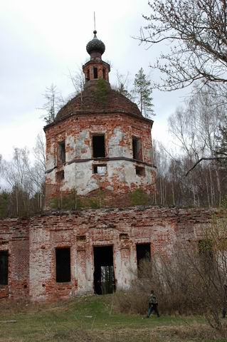 Космодамиановский погост (Андреевское). Церковь Троицы Живоначальной. архитектурные детали