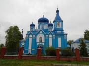 Церковь Ксении преподобной, , Мамадыш, Мамадышский район, Республика Татарстан