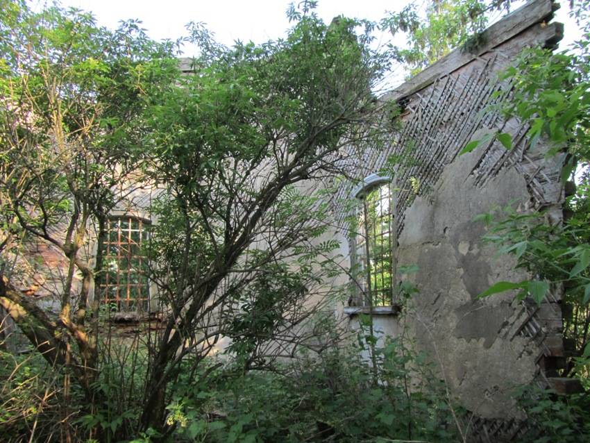 Церковь Троицы Живоначальной, Горки (Вяземский район, Смоленская область). интерьер и убранство, деревянная алтарная апсида