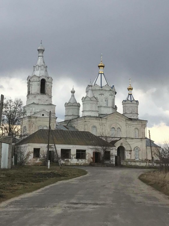 Борки. Церковь иконы Божией Матери 