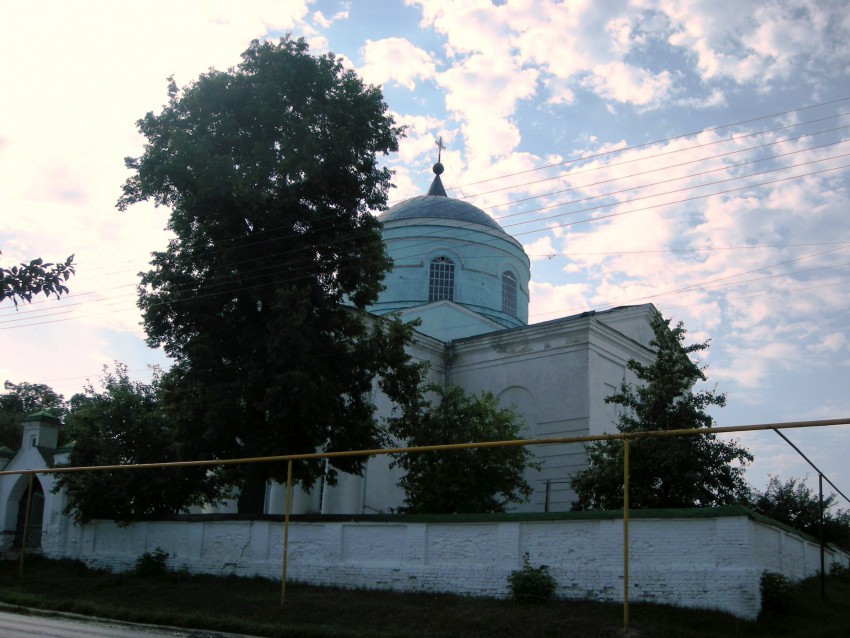 Церковь Рождества Христова, Гончаровка (Суджанский район, Курская область). общий вид в ландшафте