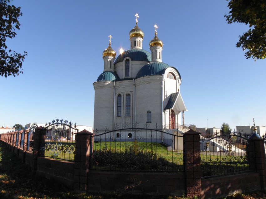 Церковь Благовещения Пресвятой Богородицы, Большие Мотыкалы (Брестский район, Беларусь, Брестская область). общий вид в ландшафте