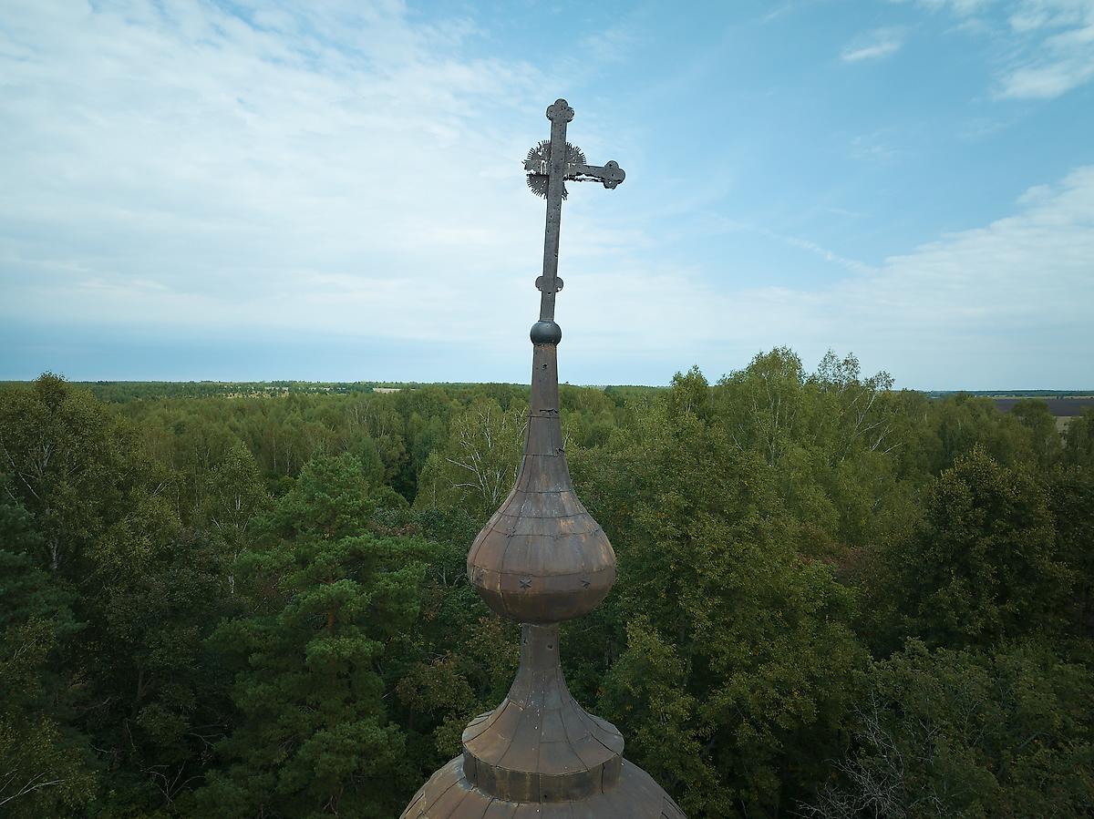 . Церковь Спаса Нерукотворного Образа, Азарновка (Протасьев Угол) (Чучковский район, Рязанская область)