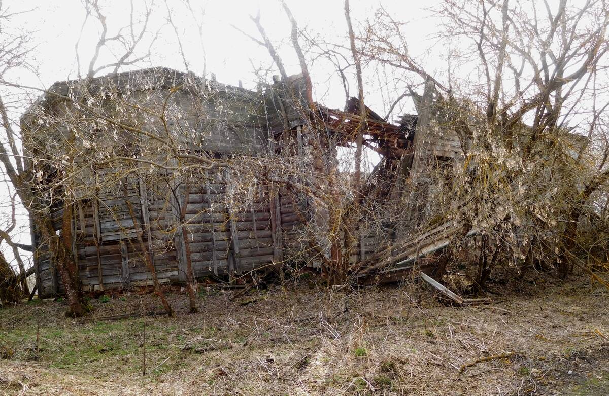 Ужово. Церковь Покрова Пресвятой Богородицы. архитектурные детали