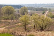Часовня Боголюбской иконы Божией Матери, , Тетеринское, Нерехтский район, Костромская область