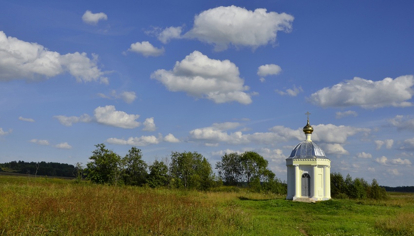 Часовня Боголюбской иконы Божией Матери, Тетеринское (Нерехтский район, Костромская область). общий вид в ландшафте